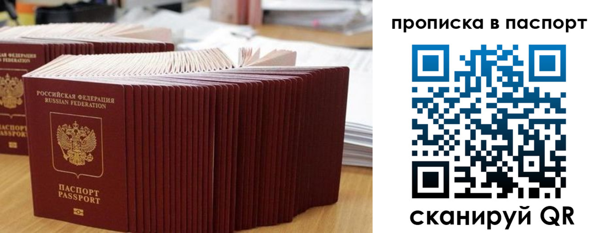 регистрация в Владимирской области